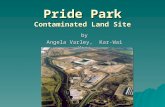 Pride Park Contaminated Land Site
