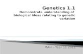 Genetics 1.1 Demonstrate understanding of  biological ideas relating to genetic variation