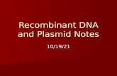 Recombinant DNA and Plasmid Notes