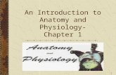 An Introduction to Anatomy and Physiology- Chapter 1