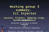 Working group 3 summary:  ILC Injector sources, kickers, damping rings, bunch compressors