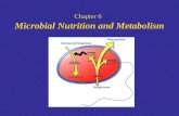 Chapter 6 Microbial Nutrition and Metabolism