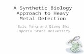 A Synthetic Biology Approach to Heavy Metal Detection