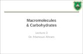 Macromolecules & Carbohydrates