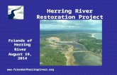 Herring River Restoration Project “ Return of the Tide ”