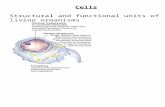 Cells Structural and functional units of living organisms