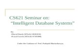 CS621 Seminar on:  “Intelligent Database Systems”