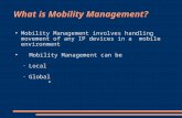 What is Mobility Management?