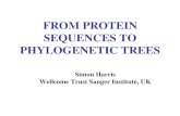 FROM PROTEIN SEQUENCES TO PHYLOGENETIC TREES