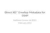 Direct  XD*  Envelop Metadata for DS4P