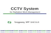 CCTV System for Radiation Work Management