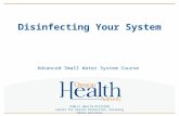 Disinfecting Your System