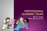 Professional Learning Teams