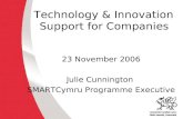 Technology & Innovation  Support for Companies