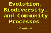 Evolution, Biodiversity, and Community Processes