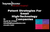 Patent Strategies For Small High-Technology Companies