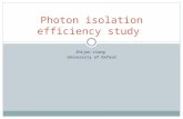 Photon isolation efficiency study