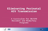 Eliminating Perinatal HIV Transmission