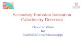 Secondary Emission Ionization Calorimetry Detectors