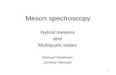 Meson spectroscopy