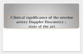 Clinical  significance of the uterine artery  Doppler  flowmetry :  state  of the art