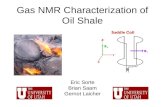 Gas NMR Characterization of Oil Shale