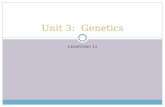 Unit 3:  Genetics