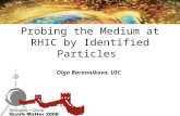 Probing the Medium at RHIC by Identified Particles