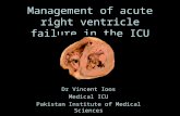 Management of acute right ventricle failure in the ICU
