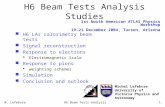 H6 Beam Tests Analysis Studies