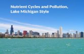 Nutrient Cycles and Pollution, Lake Michigan Style