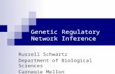 Genetic Regulatory Network Inference