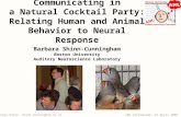Communicating in a Natural Cocktail Party: Relating Human and Animal Behavior to Neural Response
