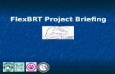 FlexBRT Project Briefing