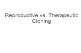 Nuclear reprogramming of cloned embryos and its implications for therapeutic cloning