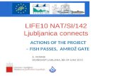 LIFE10 NAT/SI/142 Ljubljanica connects LIFE10 NAT/SI/142