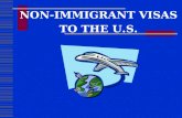 NON-IMMIGRANT VISAS TO THE U.S.