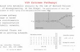 V19 Extreme Pathways