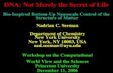 Nadrian C. Seeman Department of Chemistry New York University New York, NY 10003, USA