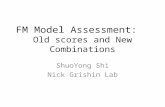 FM Model Assessment:   Old scores and New Combinations