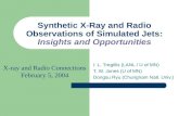 Synthetic X-Ray and Radio Observations of Simulated Jets: Insights and Opportunities