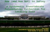 How (and How Not) to Survey  a Systematic Invertebrate Paleontology Collection for Locality Data