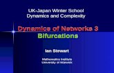 Dynamics of Networks 3 Bifurcations