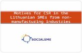 Motives for CSR in the Lithuanian SMEs from non-manufacturing industries