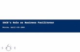 SACE’s Role as Business Facilitator