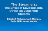 The Streamers: The Effect of Environmental Stress on Vulnerable Streams