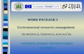 Environmental resources management