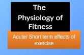 Acute/ Short term effects of exercise