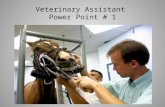 Veterinary Assistant  Power Point # 1