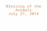 Blessing of the Animals July 27, 2014